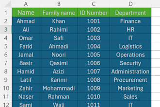 do professional excel data entry formatting,