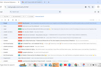 manage your email inbox and organize your emails professionally