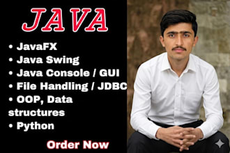 develop java projects, javafx, swing gui, console apps and database integration