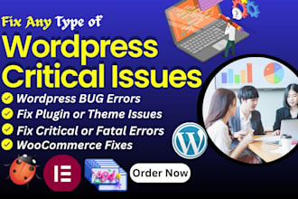 fix wordpress error or repair any kind of elementor erro elementor bug fixing