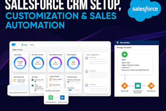be your salesforce consultant and developer