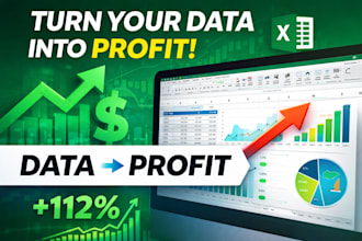create a professional excel dashboard with data analysis
