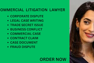 write legal complaints for fraud, trade secrets, and business conflicts