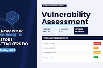 professional vulnerability assessment and security report