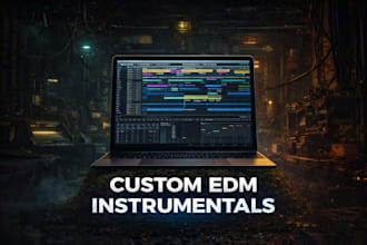 produce a professional custom instrumental for your song