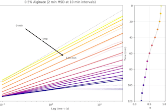 analyse particle tracking data and create viscoelastic plots