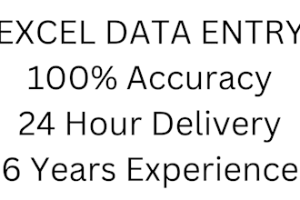 do accurate data entry and excel organization with validation