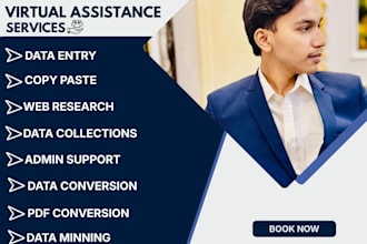do data enty virtual assistance