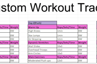 convert your workout plan into a clean excel tracker