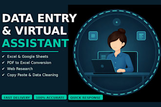 do accurate data entry, PDF to excel and web research