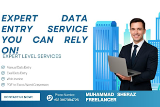 fast and accurate data entry, copy paste, excel and web research