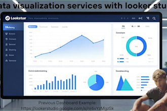 provide expert data visualization services with looker studio