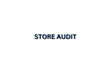 audit and report of needful in store