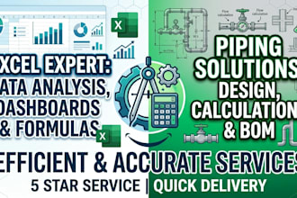 excel expert and data entry