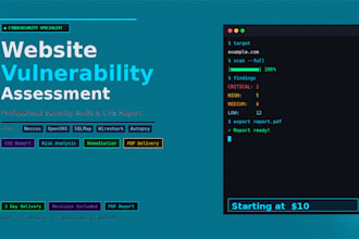 do website vulnerability assessment and security audit