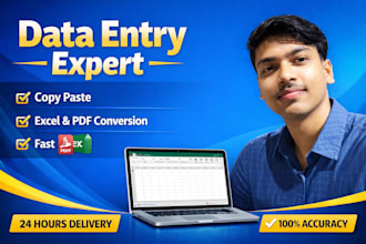 do accurate data entry, copy paste, excel, copy paste