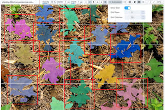 do image annotation, segmentation, bounding box, and all data labeling for ai