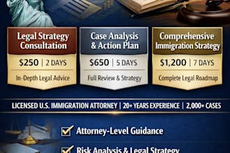 provide expert US immigration legal strategy and case review