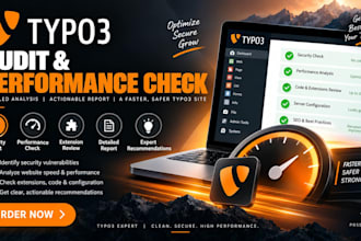 perform a professional typo3 audit and performance check