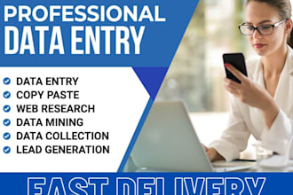 do data entry tasks in ms word, excel and inpage etc