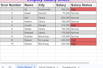 do excel data entry, dashboards and google sheets work