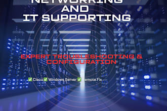 professional network engineer  IT support