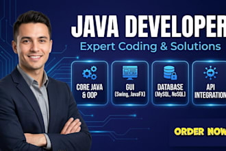 develop java projects oop gui swing and data structures