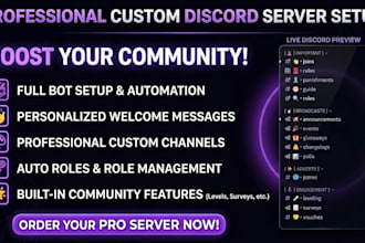setup a professional custom discord server