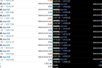 create an ea for metatrader 4 or 5 for you with your strategy