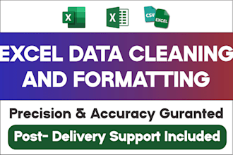 do excel data cleaning, formatting and sorting