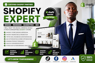 audit and optimize your shopify store
