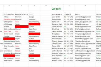 do fast and accurate data entry, data cleaning
