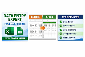 enter and organise your data accurately in excel