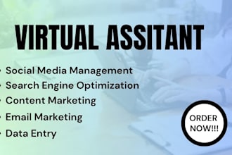 be your virtual assistant for your social media, shopify virtual assistant