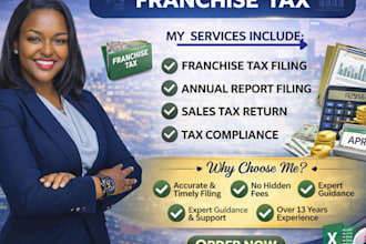 do filing of delaware franchise tax annual report and consulting