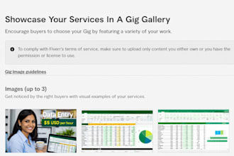 do excel data entry