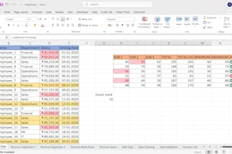 excel data entry, data cleaning, formatting