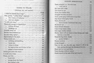 create book indexing, back of the book index creation for your book