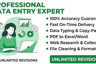 do professional data entry and copy paste work