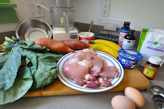 formulate homemade and commercial food for dogs