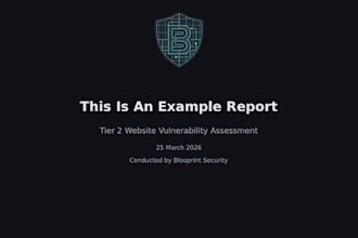 perform a professional website vulnerability assessment and security repo