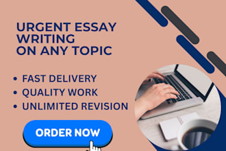 help with essay writing and assignment writing work