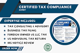 provide tax consulting, tax filing, and international tax services