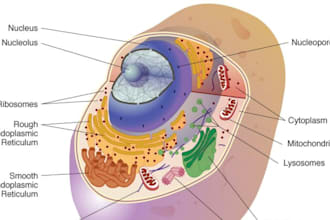 be an expert tutor of biology chemistry and biochemistry