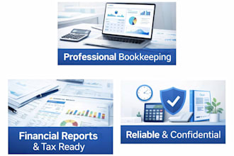 provide professional accounting and bookkeeping services