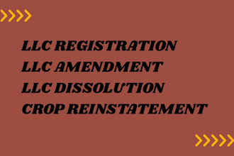 do US llc or corp reinstatement, amendment , dissolution