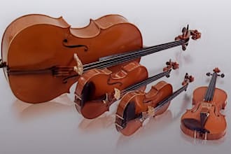 record a professional violin, cello, viola, string quartet for your song