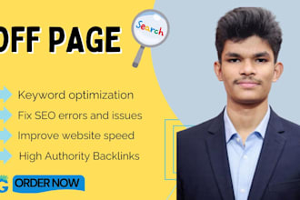 fix on page SEO issues and build high authority backlinks