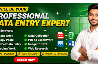 do accurate data entry, copy paste, excel typing work
