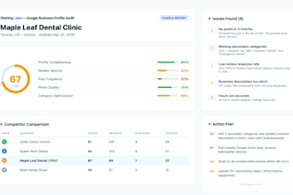 audit your google business profile and send a detailed report